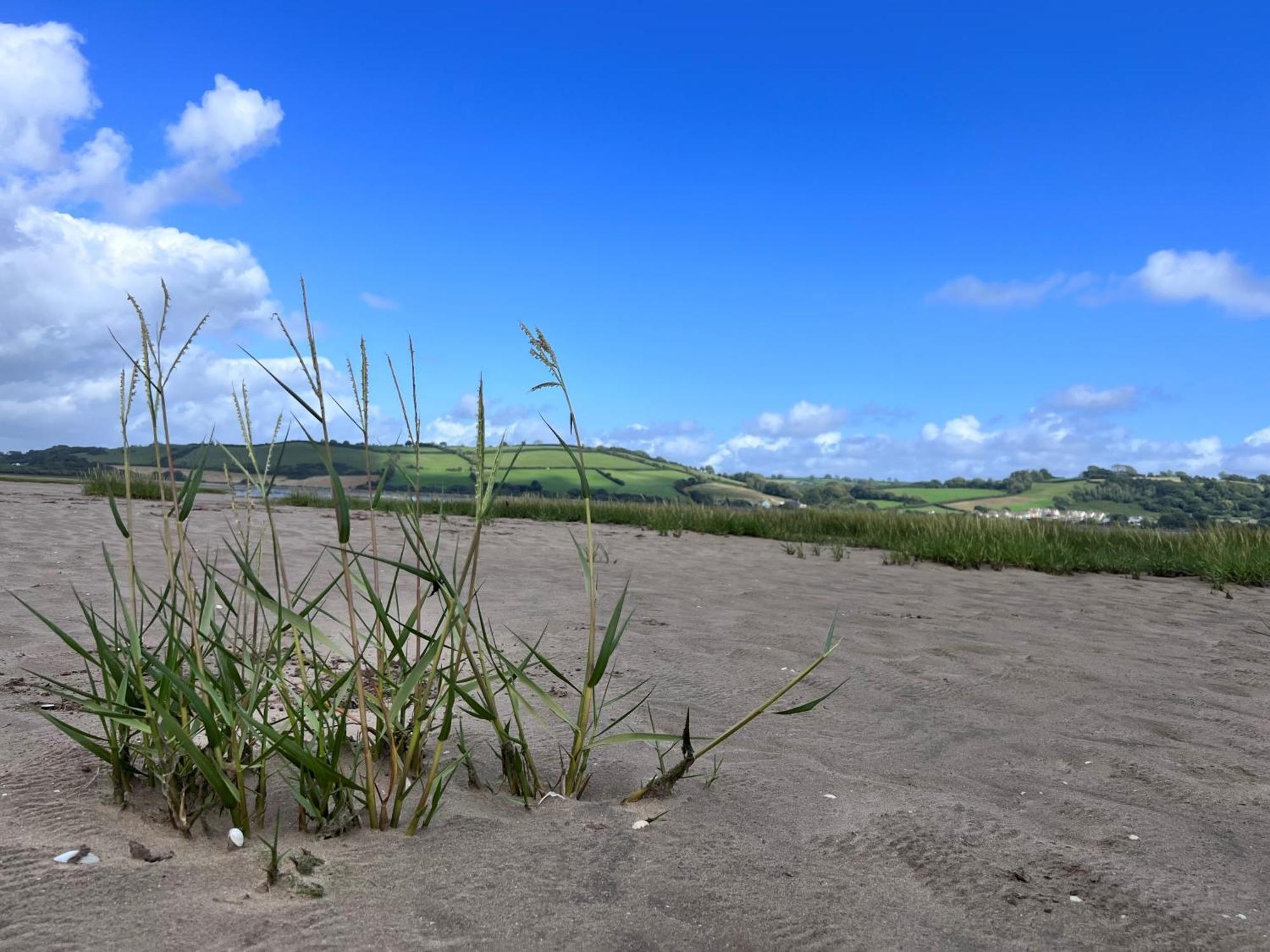 Luxury 2-Bed Barn Conversion In Llansteffan Carmarthen Exterior photo